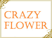 CrazyFlower